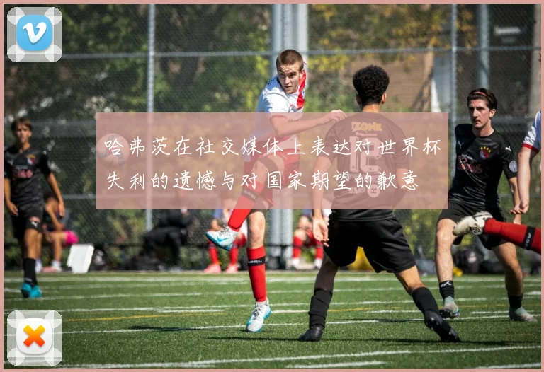 哈弗茨在社交媒体上表达对世界杯失利的遗憾与对国家期望的歉意